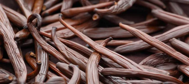 Keyp-Dagdagi swingerlar