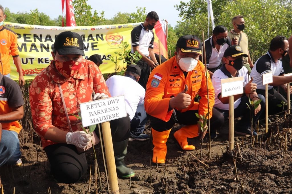 Sambut Hut Ke Basarnas Maumere Gelar Aksi Penanaman Mangrove