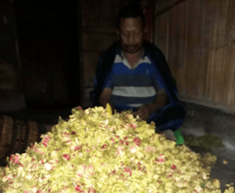 Hironimus, Si Petani Cengkih di Wolomasi