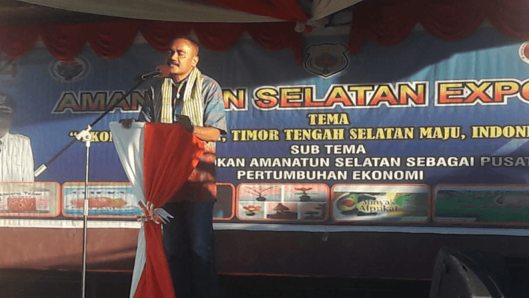 Progam Inovasi Desa dalam “Amanatun Selatan Expo 2019”