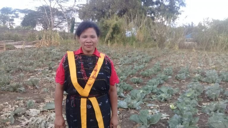 Kisah Rofina, Bidan dan Petani Sayur Unggul