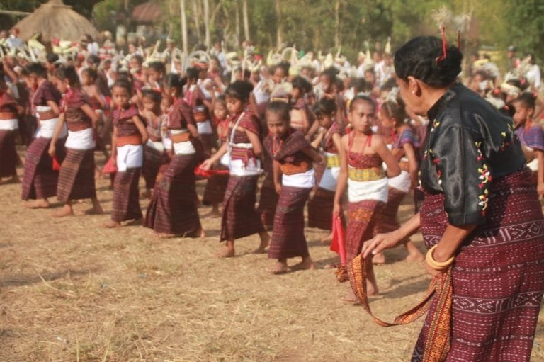 ‘Sadok Nonga’ dan ‘Leon Tenada’ Ramaikan  Pembukaan Festival Lamaholot