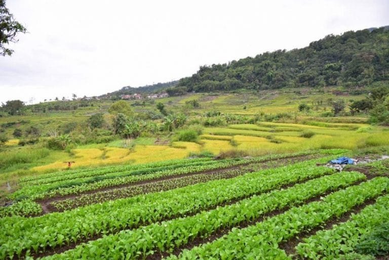 Belajarlah dari Desa Waturaka, Desa Wisata di Ende