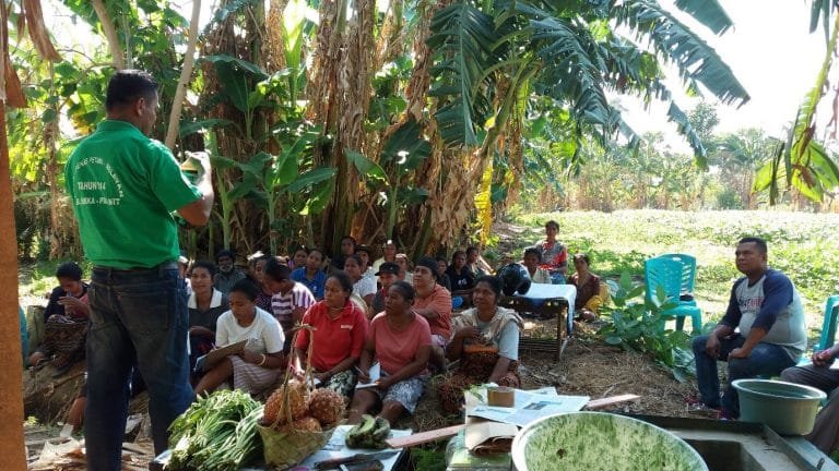 50 Petani di Desa Langir Ikuti Sekolah Lapangan Pertanian
