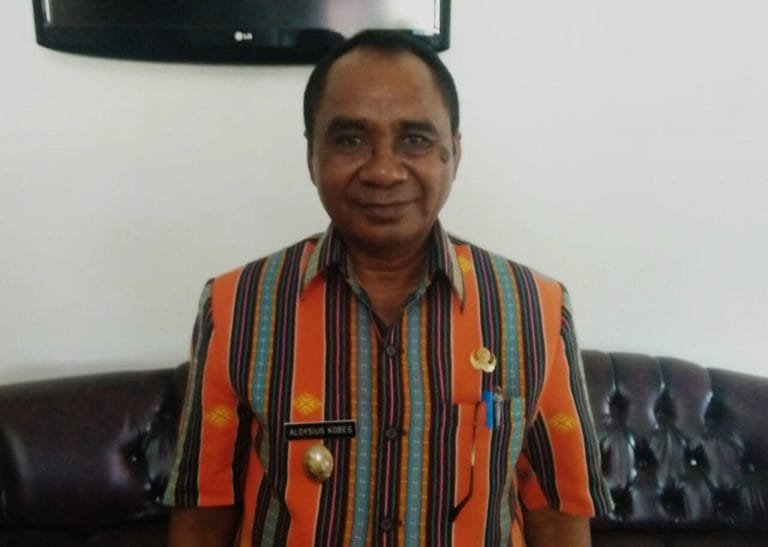 Alo Kobes Akan Jadi Penonton di Pilkada TTU 2020 Mendatang
