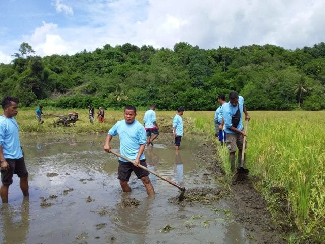 endepetani