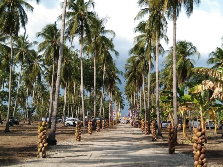 Pintar Asia Beach Jadi Destinasi Akhir Pekan Pilihan Keluarga