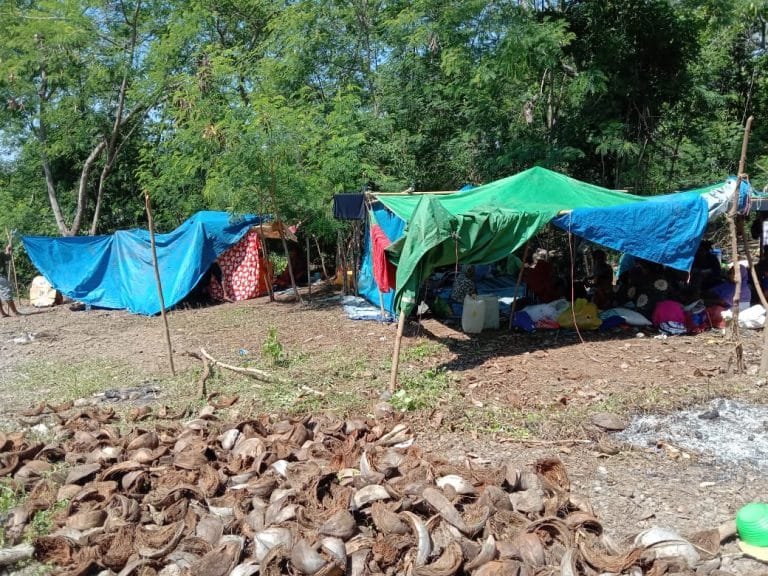 Trauma Gempa 1992, Warga Desa Lewomada-Sikka Evakuasi Mandiri ke Gunung