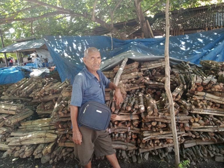 Kisah Pedagang Kayu Bakar di Sikka: Menjerit Diserang Virus ASF, Bangkit Saat Pesta