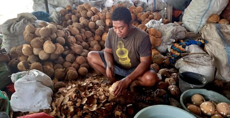 24 Tahun Bergelut dengan Kelapa