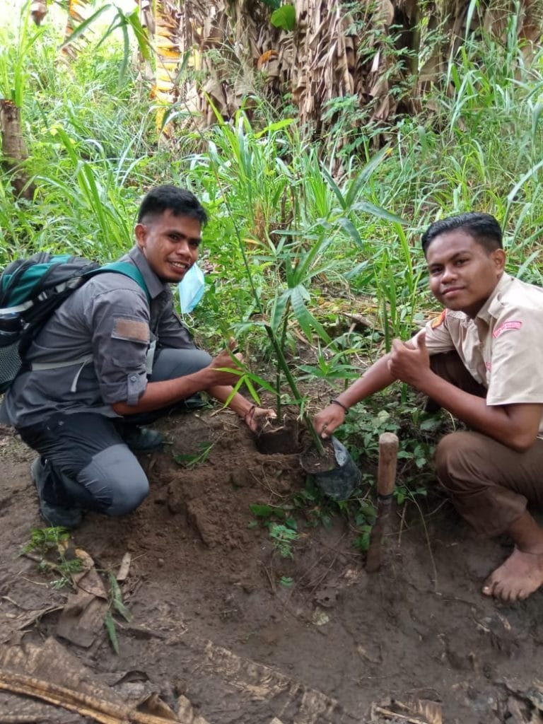 600 Anakan Bambu Ditanam di DAS Aesesa