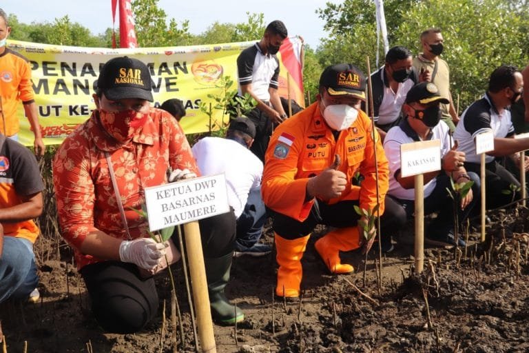 Sambut HUT ke-50, Basarnas Maumere Gelar Aksi Penanaman Mangrove