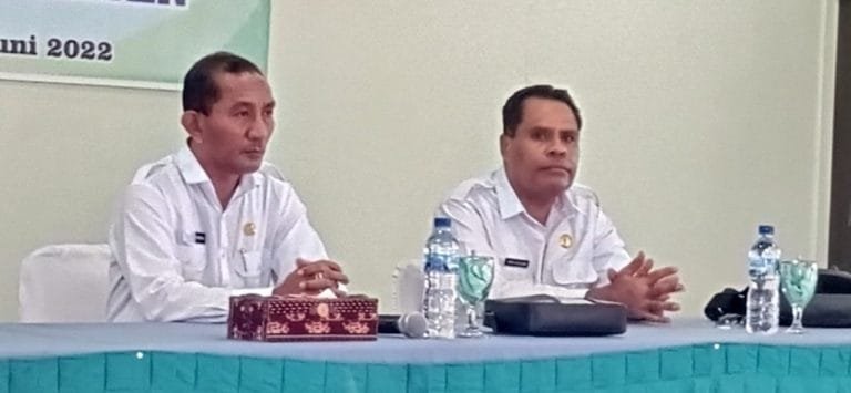 Kasus ODGJ di Kabupaten Sikka Meningkat