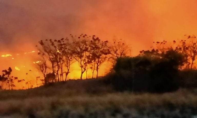 Tradisi Berburu Picu Kebakaran Hutan dan Lahan di Nagekeo