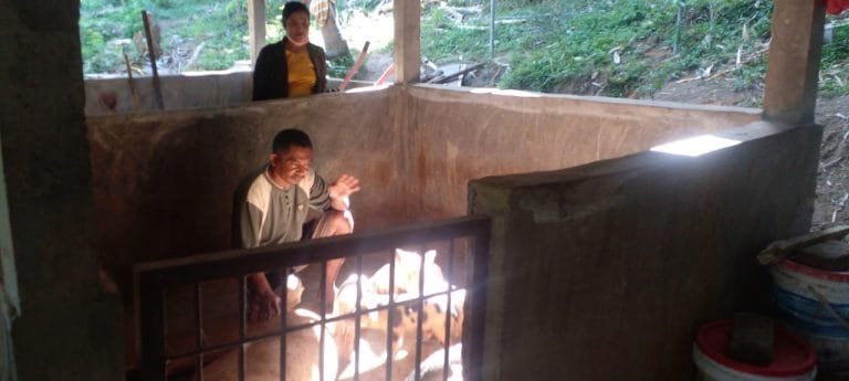 Peternak Babi di Ende Rajin Menabung di Pintu Air