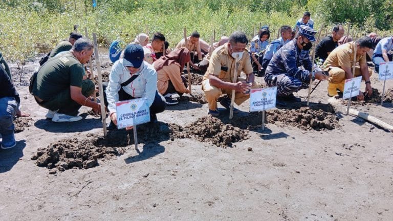 Tanam Mangrove di Magepanda, Danlanal Maumere: Jaga Pesisir Pantai dari Abrasi