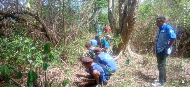 Cegah Abrasi, Gudep SMPN Pruda Tanam Bibit Pohon di Pantai Mude Herung