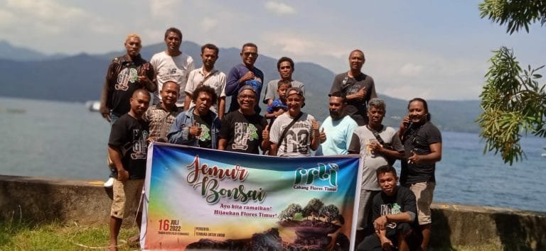 PPBI Flotim Akan Gelar Pameran Bonsai, Dua Kelas Dilombakan