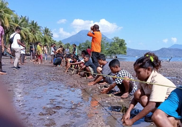 Ratusan Siswa SMPN Satap Bugalima Tanam 1.000 Anakan Mangrove