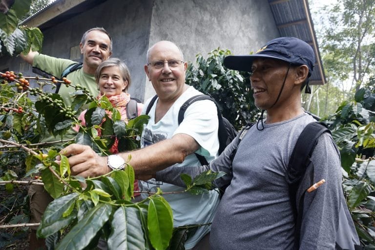 Kebun Warga Jadi Lokasi Tur Kopi ‘Bajawa Coffiesta’ dalam Wolobobo Ngada Festival