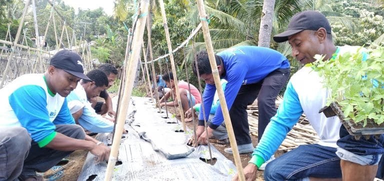 Febrian Mado: Bertani Hortikultura Praktis Dapat Uang Jangka Pendek