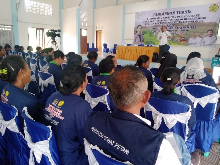Masyarakat Didorong Manfaatkan Pekarangan Rumah untuk Ketahanan Pangan Keluarga
