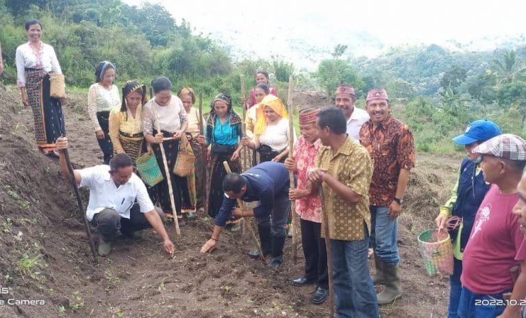 Pemkab Manggarai Sediakan Lahan 670 Hektare untuk Budi Daya Kedelai