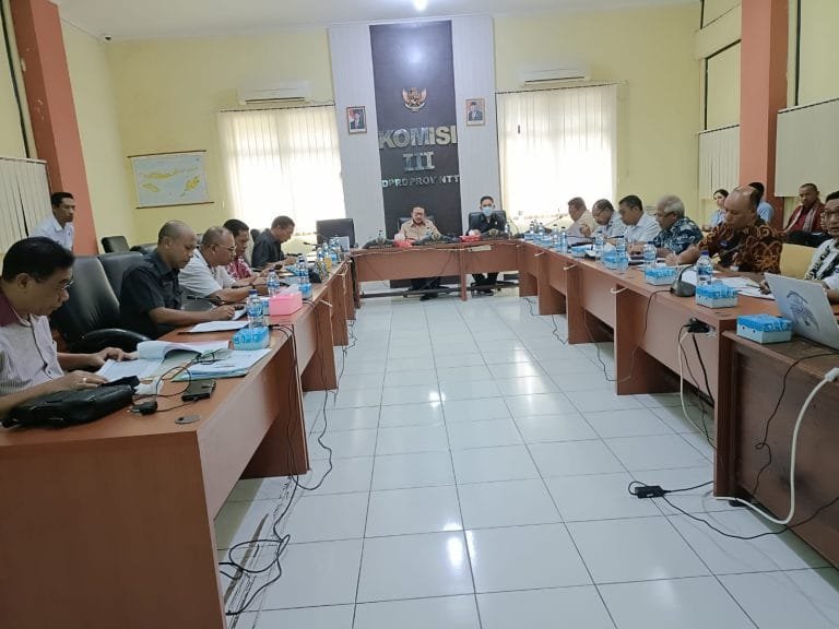 Ini Alasan Bank NTT Bakal Diturunkan Status Jadi BPR
