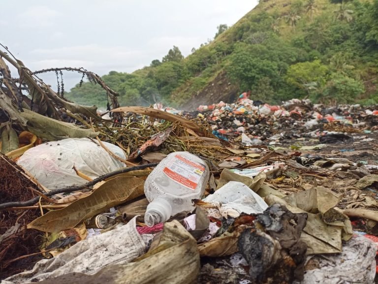 Walhi NTT Desak Bupati Ende Evaluasi Manajemen Kesehatan
