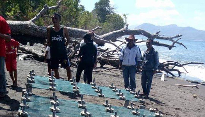 Restorasi Terumbu Karang di Flores Timur_ Ikan Melimpah, Nelayan Gembira