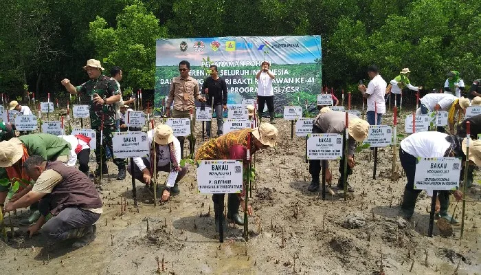 Pemprov NTT Rehabilitasi Hutan Mangrove dengan Pembangunan Wilayah Terpadu