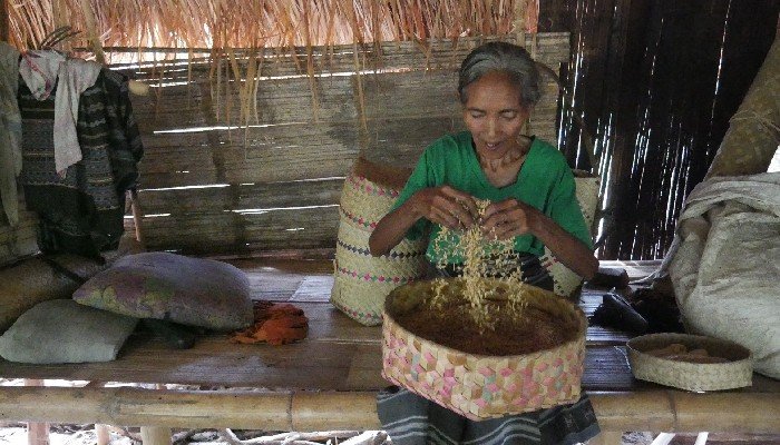 Perjuangan Petani Perempuan Hewa, Flores Melestarikan Benih Lokal Warisan Leluhur4