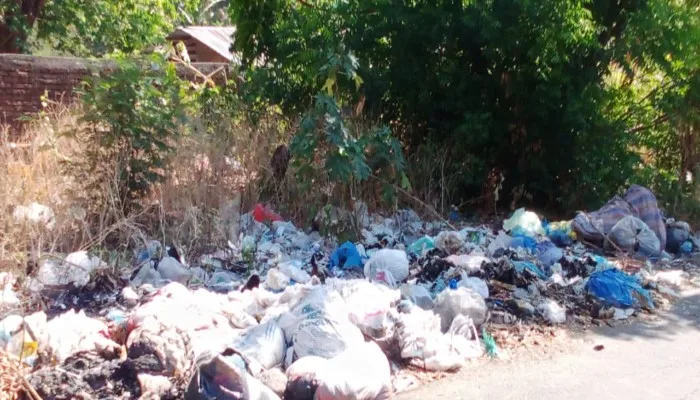 Tempat Pembuangan Sampah Liar Bermunculan di Kota Maumere, Butuh Ketegasan Pemerintah