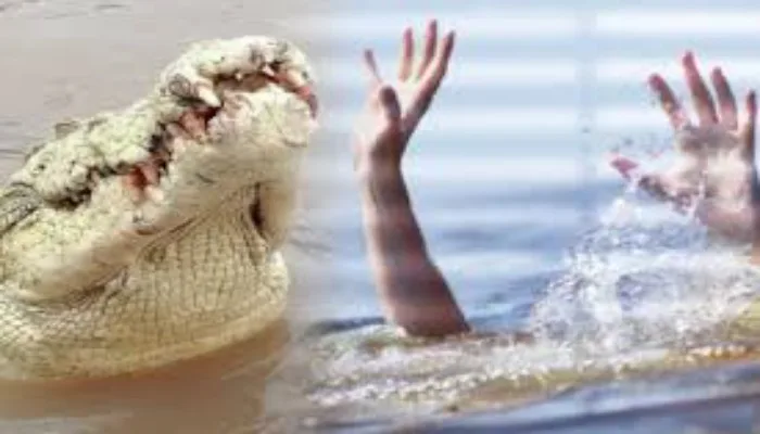 31 Orang Tewas Diterkam Buaya di Danau Tuadale Sejak 2019