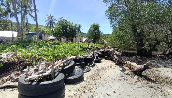 Warga Pantura Flores Andalkan Tanggul Darurat Hadapi Banjir Rob dan Gelombang Laut