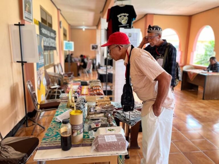 Hari Anti Tambang di Flores: Melawan Ekstraktivisme di Balik Propaganda Energi Hijau