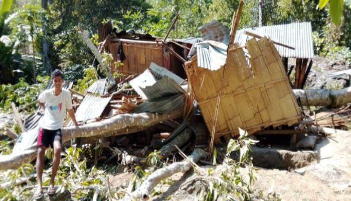 Pohon Kemiri Tumbang Hantam Rumah di Ende, Satu Orang Meninggal Dunia
