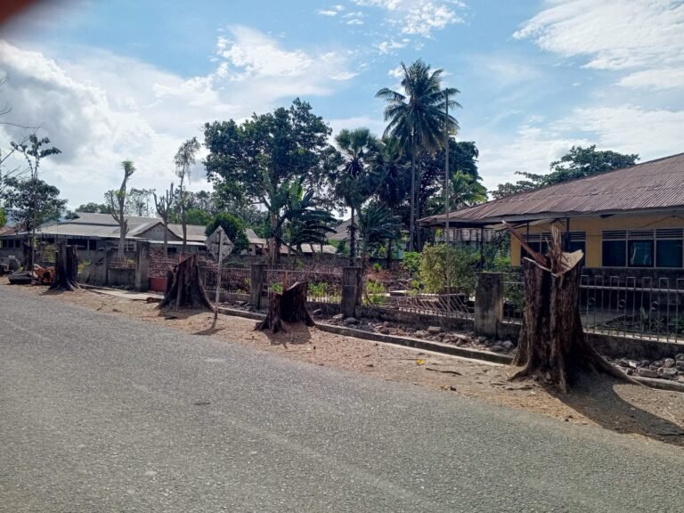Indeks Ruang Terbuka Hijau di Sikka Masih di Bawah Standar