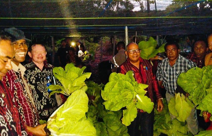 Pemkab Lembata dan Kopdit Pintu Air Dukung Petani Hortikultura di Wulandoni Pemkab Lembata dan Kopdit Pintu Air Dukung Petani Hortikultura di Wulandoni