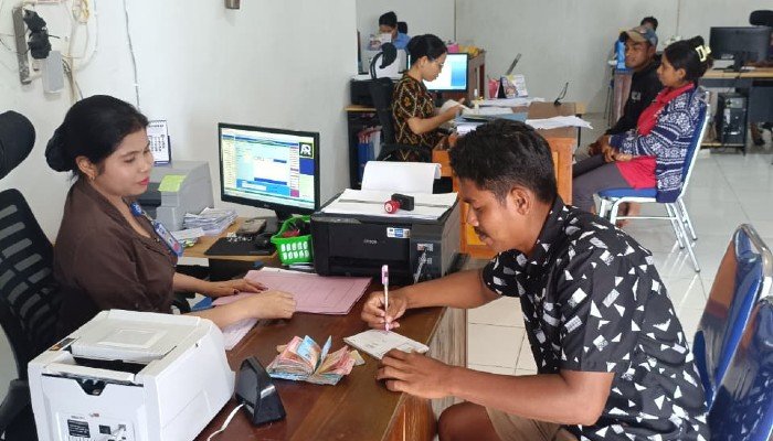 Pemuda Sumba Tengah Raup Jutaan Rupiah dari Bisnis Ternak Berkat Dukungan Kopdit Pintu Air (1)