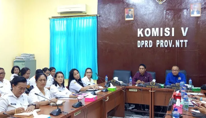DPRD NTT Inisiasi Perda Orang Dengan Gangguan Jiwa
