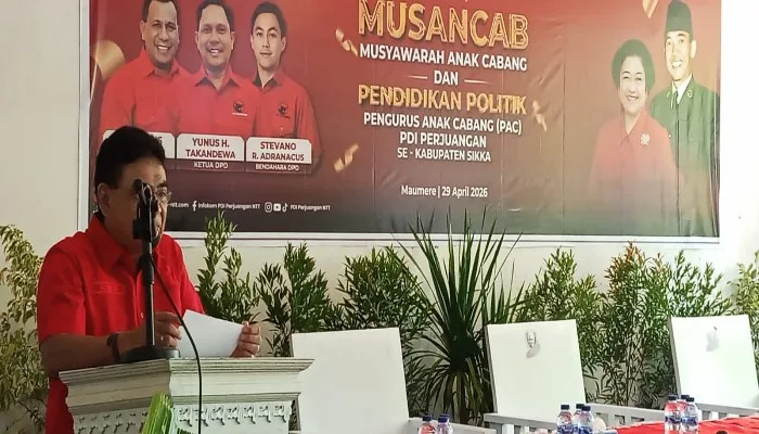 PDI Perjuangan Sikka Gelar Musancab, Andreas Hugo Parera Politik Bukan Sekadar Cari Jabatan