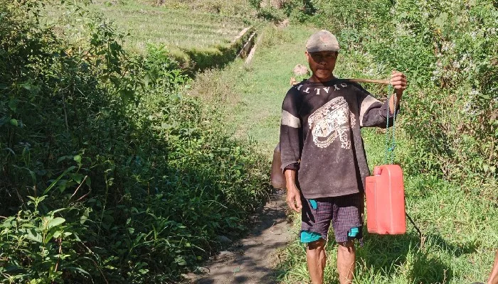 Marius Hidup dari Tuak Bakok Menjaga Tradisi, Membiayai Pendidikan Anak