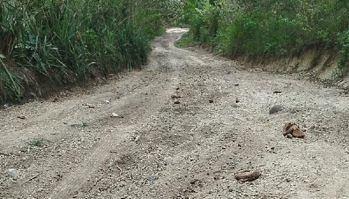 Suara Warga Kampung Bora Blupur di Sikka Rindu Akan Jalan Beraspal