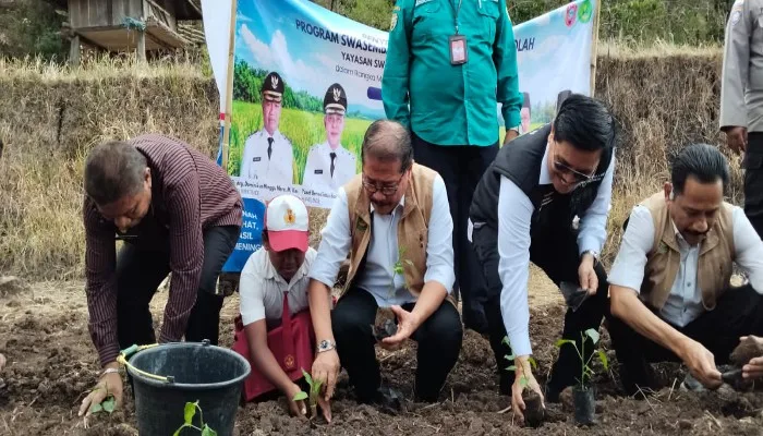 YSPN Dorong Program Swasembada Pangan Berbasis Sekolah di Ende
